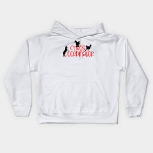 Horse Lover Chaos Coordinator Kids Hoodie